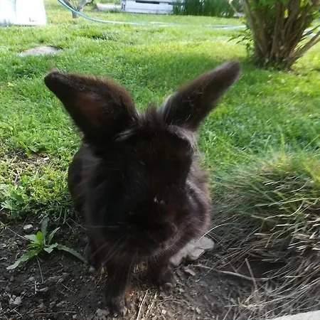 アパート Nadashaz Gyenesdiás