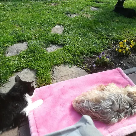 Nadashaz アパート *