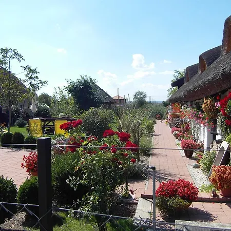 Nadashaz Gyenesdiás