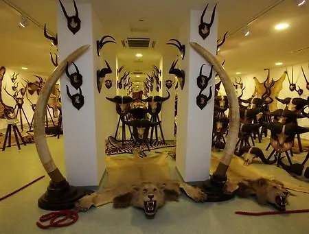 Nadashaz アパート