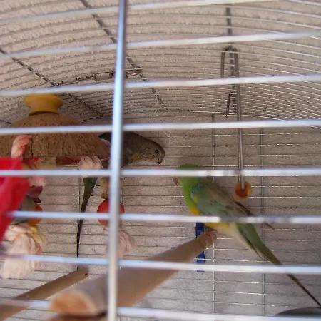 Nadashaz アパート *