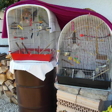 Nadashaz Gyenesdiás