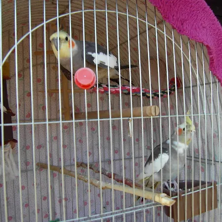 アパート Nadashaz Gyenesdiás