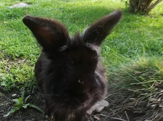 Apartamento Nádasház Gyenesdiás