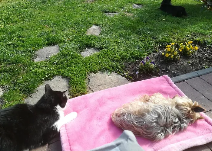 Nádasház Apartamento *