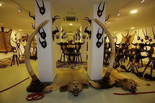 Nádasház Apartamento