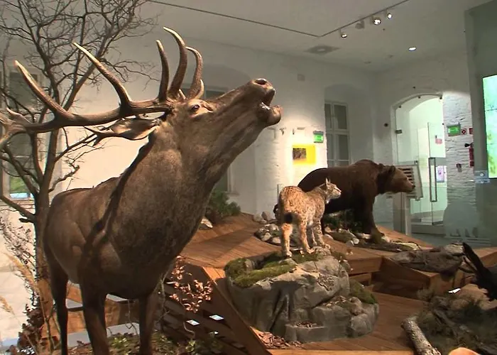 Apartamento Nádasház *