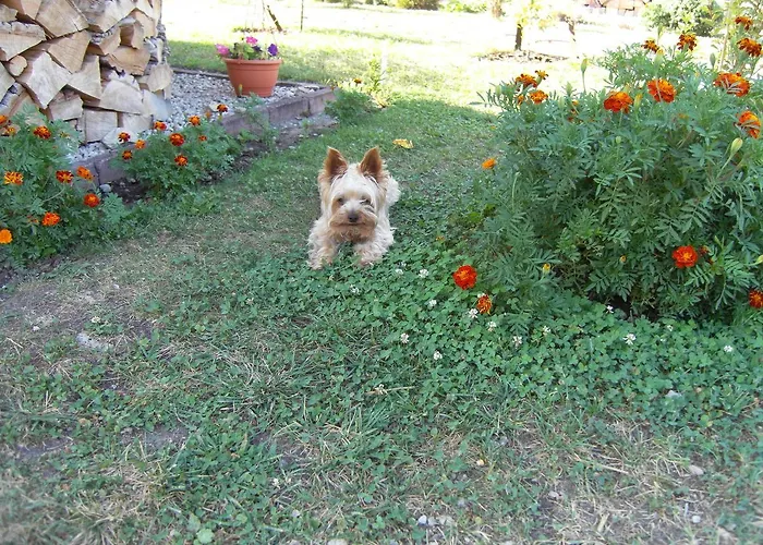 Apartman Nádasház Gyenesdiás