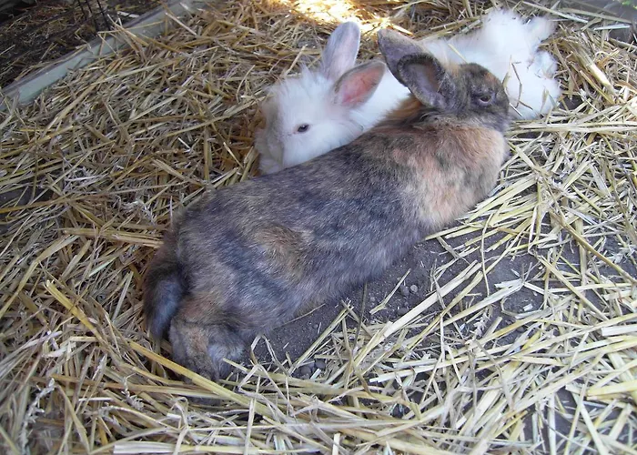 Apartman Nádasház Gyenesdiás