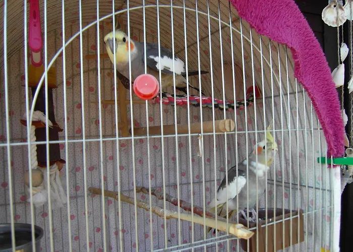 Apartamento Nádasház Gyenesdiás